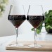 RM Red Wine Glass 2PCS - uitverkocht